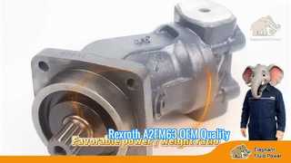 Oem গুণমান A2FM63 Rexroth সিরিজ 6 অক্ষীয় পিস্টন স্থির মোটর কারখানা মূল্য চালান দ্রুত শোকেস